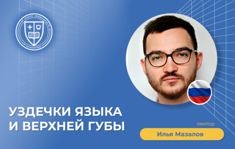 Уздечки языка и верхней губы